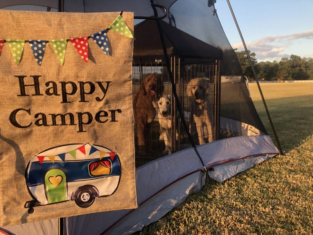Camping Dog Family